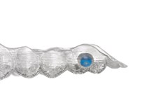 D__artworks__Content_Artwork_Images_Products_Invisalign_Teen_Detail_2_Detail_2.jpg